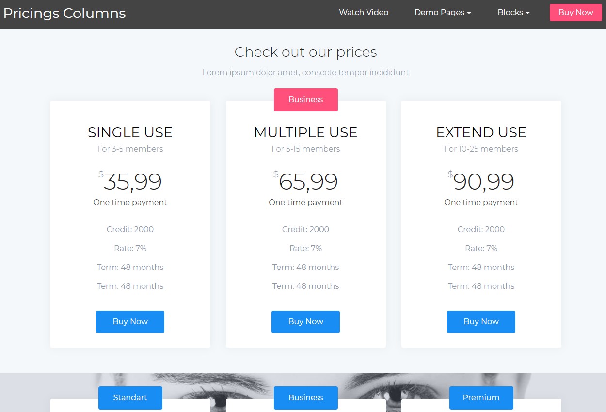 Demo HTML