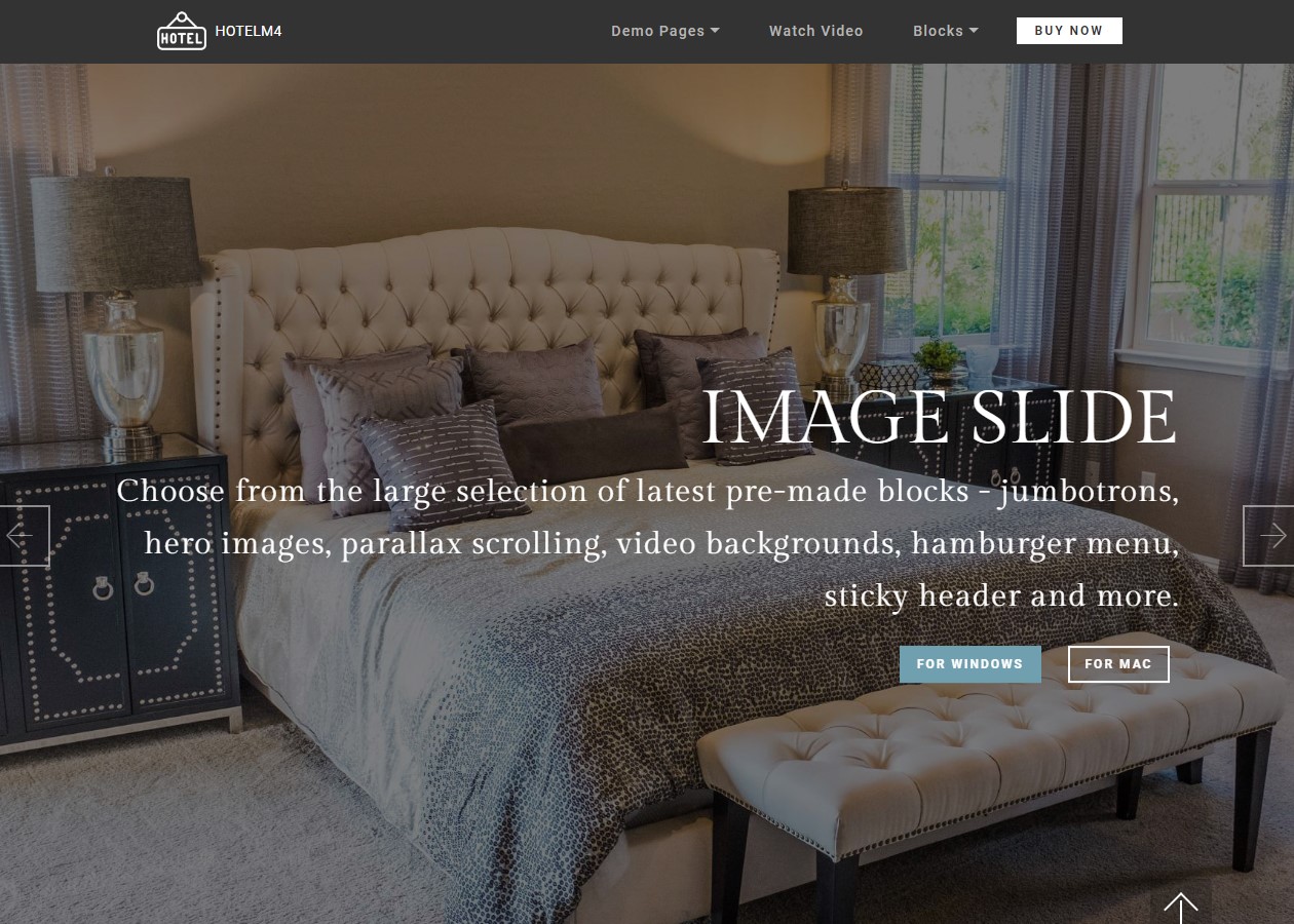Web Template