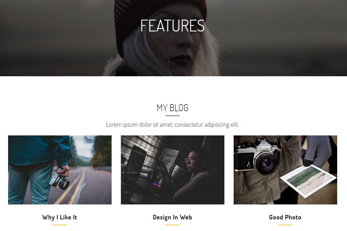 Web Theme