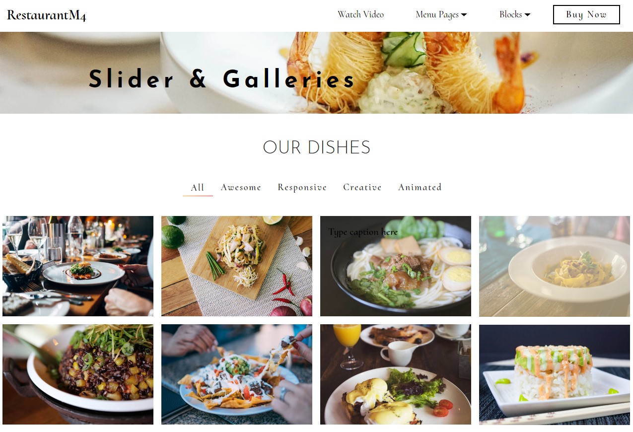 Web Template